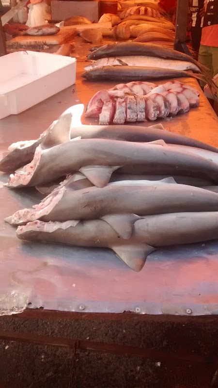 Casa de Carnes Gabriella - Açougue em Campo Grande, Cariacica/ES - Foto 2