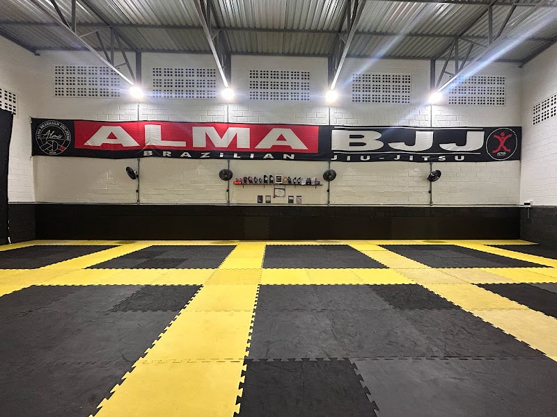 Alma Bjj - Projeto Social De Jiu-Jitsu
