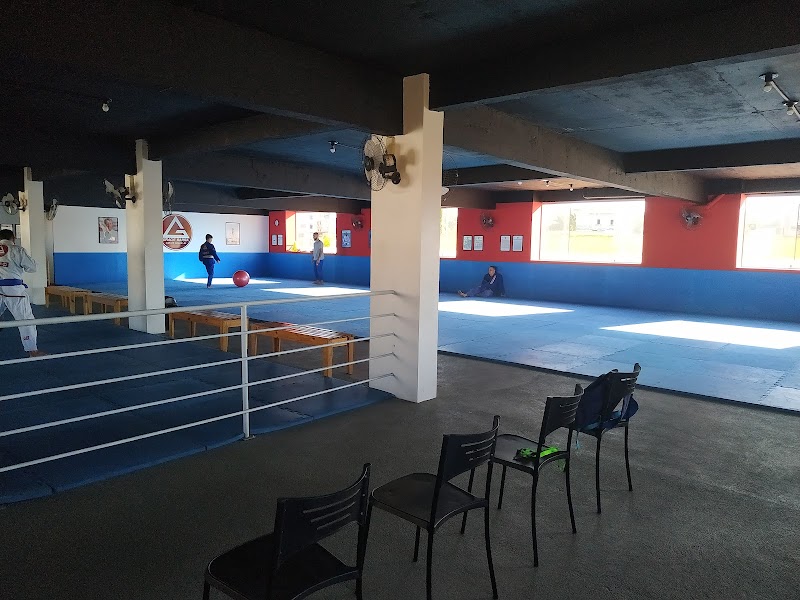 Foto 6 de Gracie Barra Cariacica