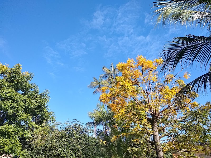 Espaço Oásis - Cerimonial