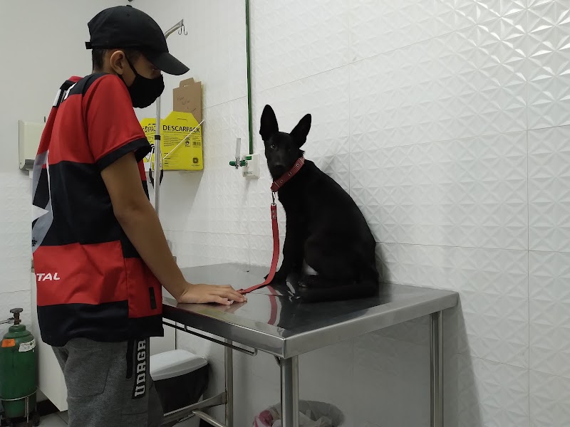 Clínica Veterinária PetSafe - Clínica Veterinária em Campo Grande, Cariacica/ES - Foto 3