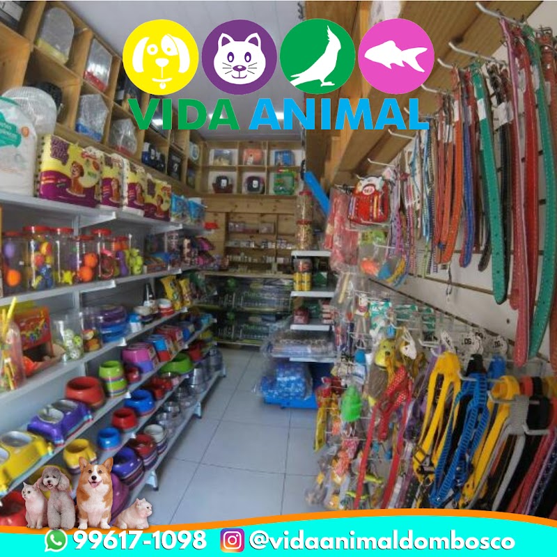 Casa de Ração , Banho & Tosa e Consultório Veterinário Vida Animal Cariacica - Clínica Veterinária em Santa Cecília, Cariacica/ES - Foto 2