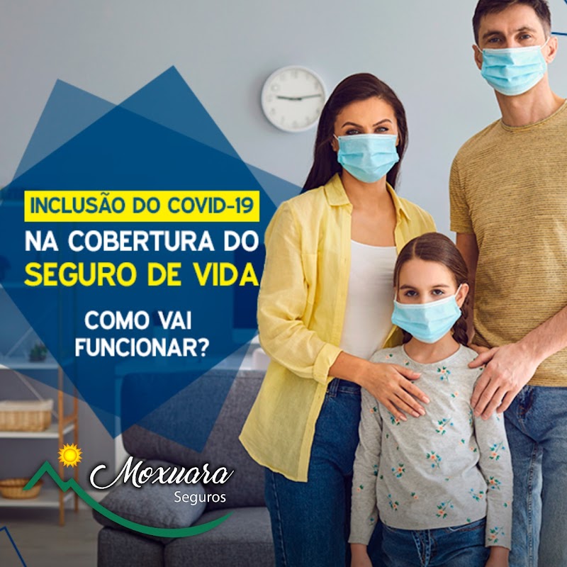 Moxuara Seguros - Corretora de Seguros em São Francisco, Cariacica/ES - Foto 3