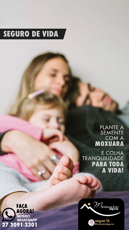 Foto 6 de Moxuara Seguros