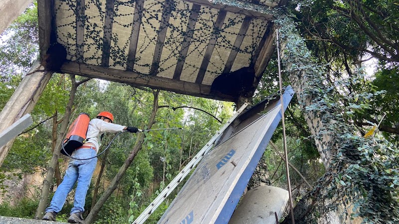 Vitel Service - Controle de Pragas e Limpezas - Dedetizadora em Jardim América, Cariacica/ES - Foto 2