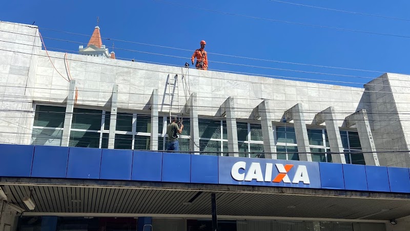 Vitel Service - Controle de Pragas e Limpezas - Dedetizadora em Jardim América, Cariacica/ES - Foto 3