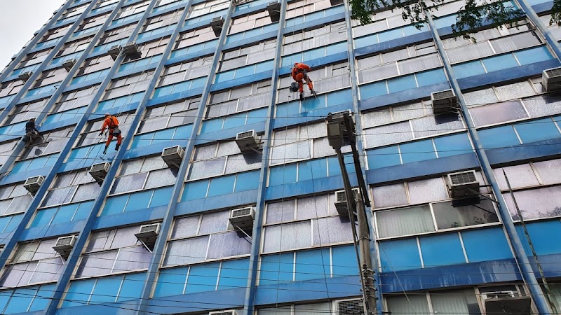 Foto 6 de Vitel Service - Controle de Pragas e Limpezas