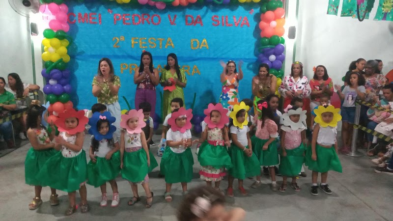 CMEI Pedro Vieira da Silva