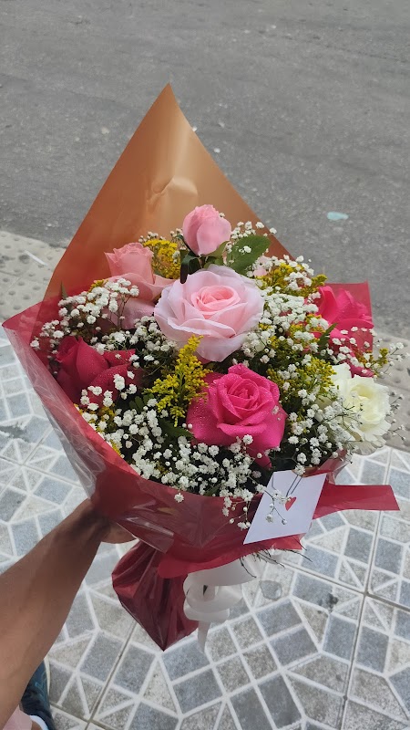 Floricultura Folhagem - Floricultura em Campo Grande, Cariacica/ES - Foto 2