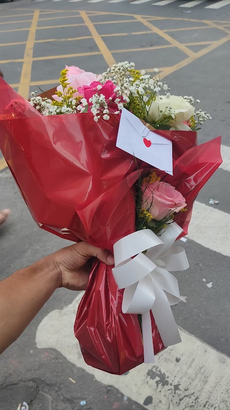 Floricultura Folhagem - Floricultura em Campo Grande, Cariacica/ES - Foto 5