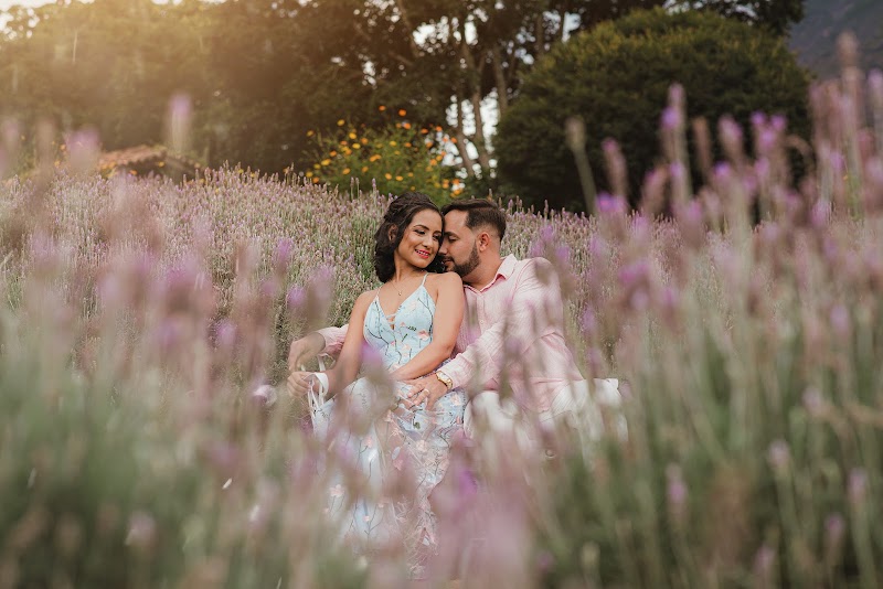 Luciana Oliveira Fotografia - Fotógrafo em Centro Empresarial Shopping Moxuara, Cariacica/ES - Foto 2
