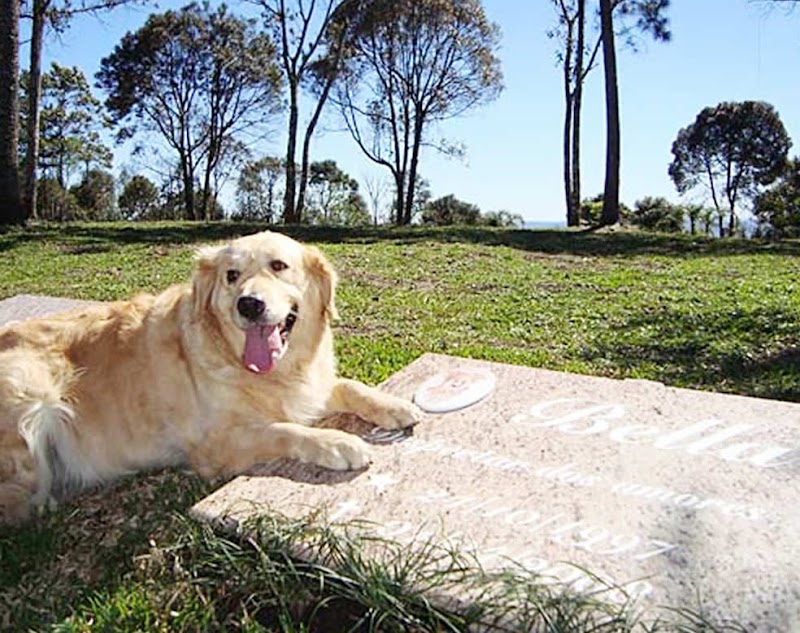 Funeral Pet Bom Pastor