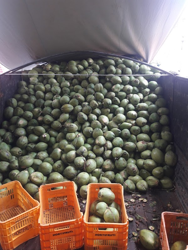 Hortifruti - Depósito e Distribuição - Hortifruti em São Francisco, Cariacica/ES - Foto 4