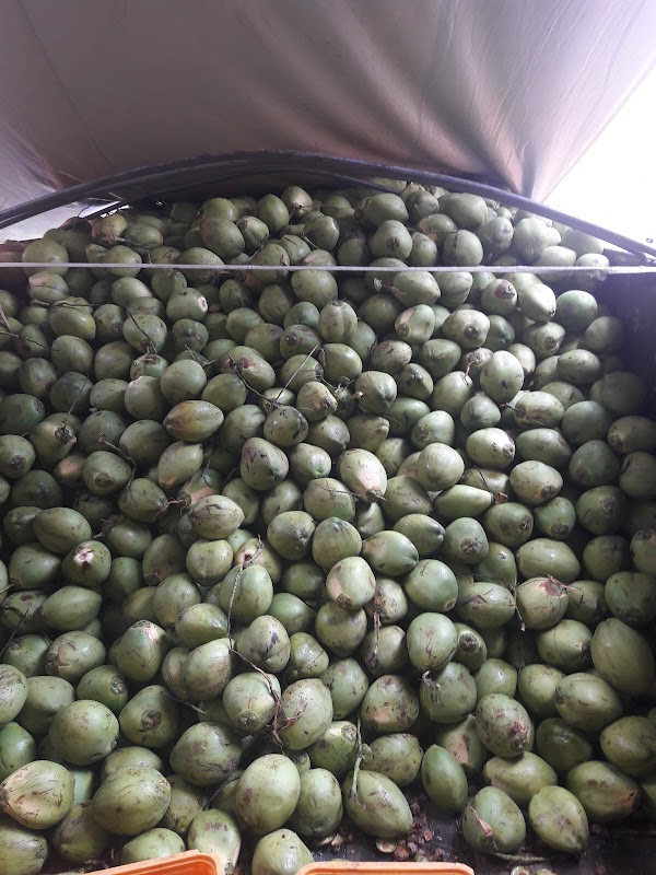 Hortifruti - Depósito e Distribuição - Hortifruti em São Francisco, Cariacica/ES - Foto 5