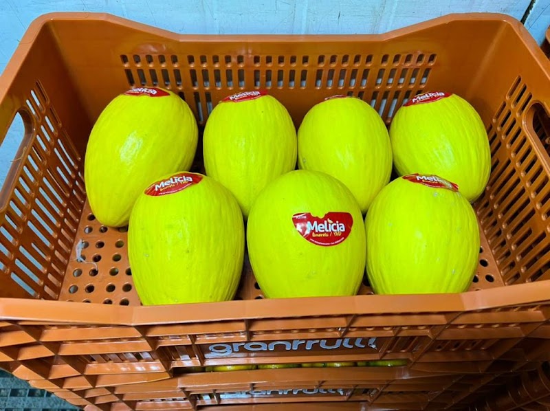 Granfrutti Distribuidora de Hortifrutigranjeiros - Hortifruti em Vila Capixaba, Cariacica/ES - Foto 3