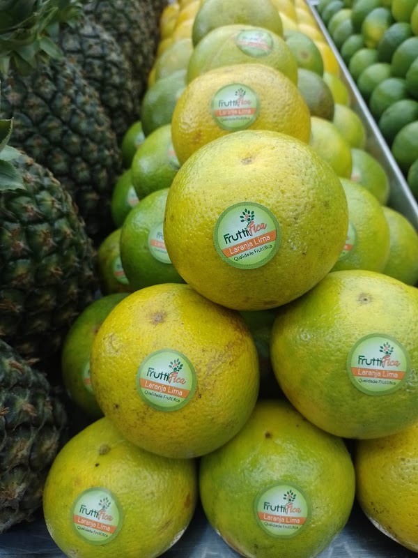 Fruttifica - Hortifrutigranjeiros em Cariacica/Espirito Santo - Hortifruti em Vila Independência, Cariacica/ES - Foto 5