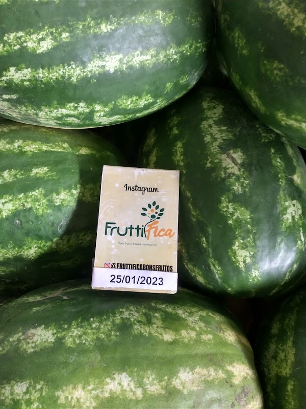 Foto 6 de Fruttifica Hortifrutigranjeiros
