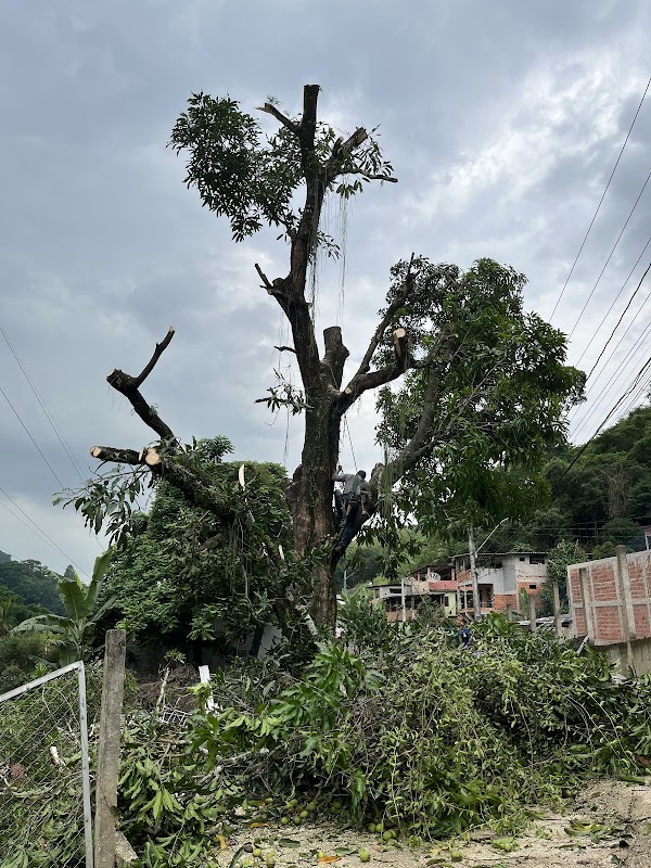 Mãos De Tesoura Poda De Arvores Grande Vitoria Cariacica Vila Velha - Jardinagem e Paisagismo em Flexal I, Cariacica/ES - Foto 2