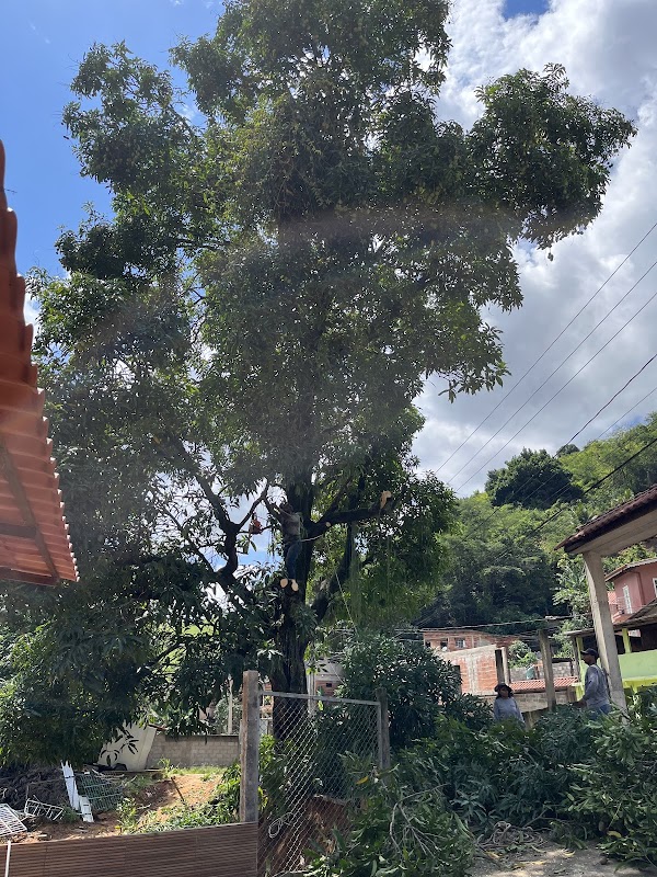 Mãos De Tesoura Poda De Arvores Grande Vitoria Cariacica Vila Velha - Jardinagem e Paisagismo em Flexal I, Cariacica/ES - Foto 3