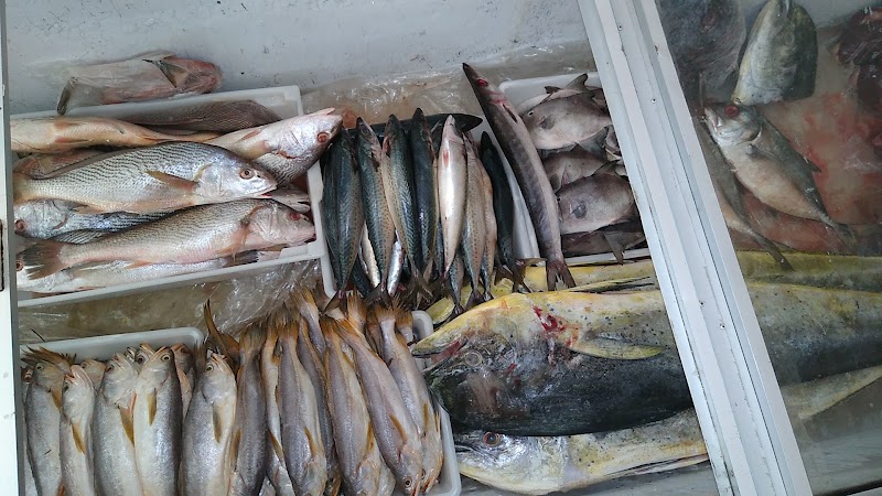 Peixaria Nelinho - Peixaria em Santo Antônio, Cariacica/ES - Foto 4