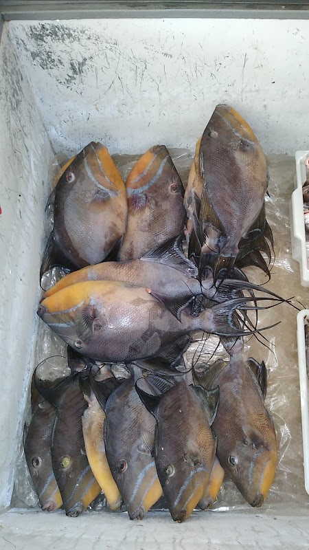 Peixaria Nelinho - Peixaria em Santo Antônio, Cariacica/ES - Foto 5