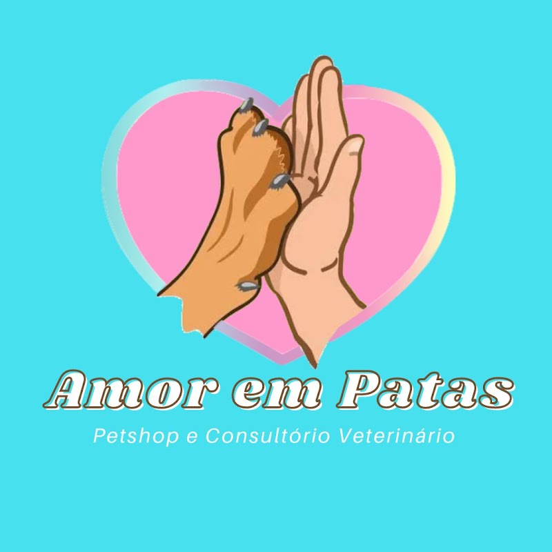 Foto 6 de Amor em Patas