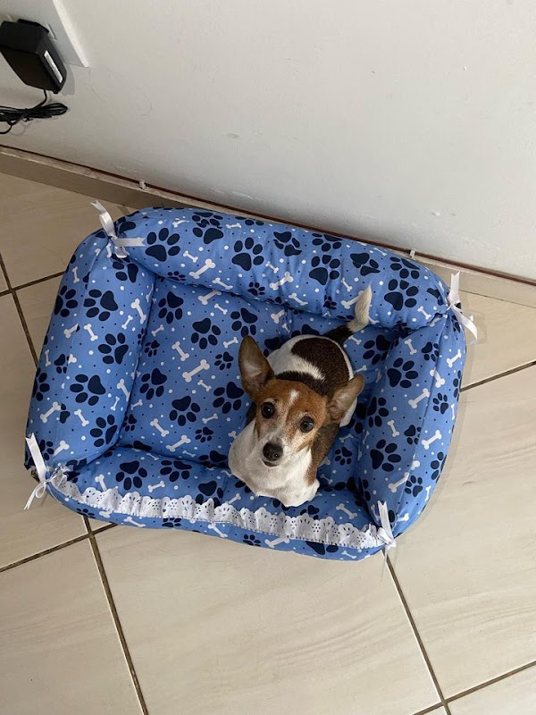 Foto 6 de Espaço dos Pets