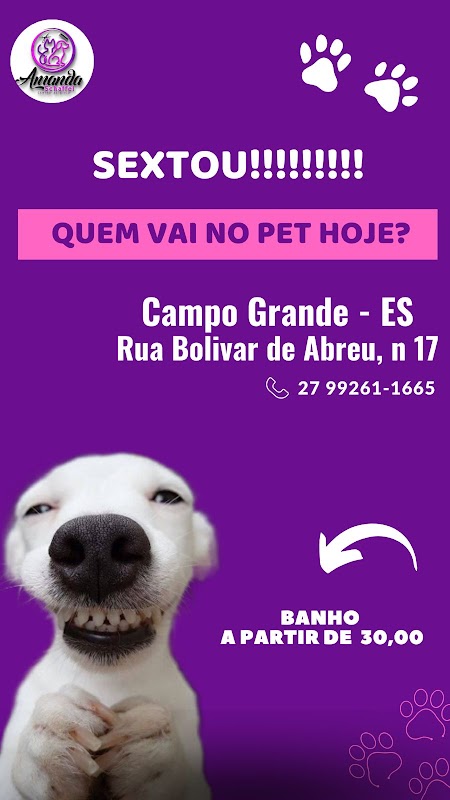 Pet Shop Amanda Schaffel - Pet Shop em Campo Grande, Cariacica/ES - Foto 2
