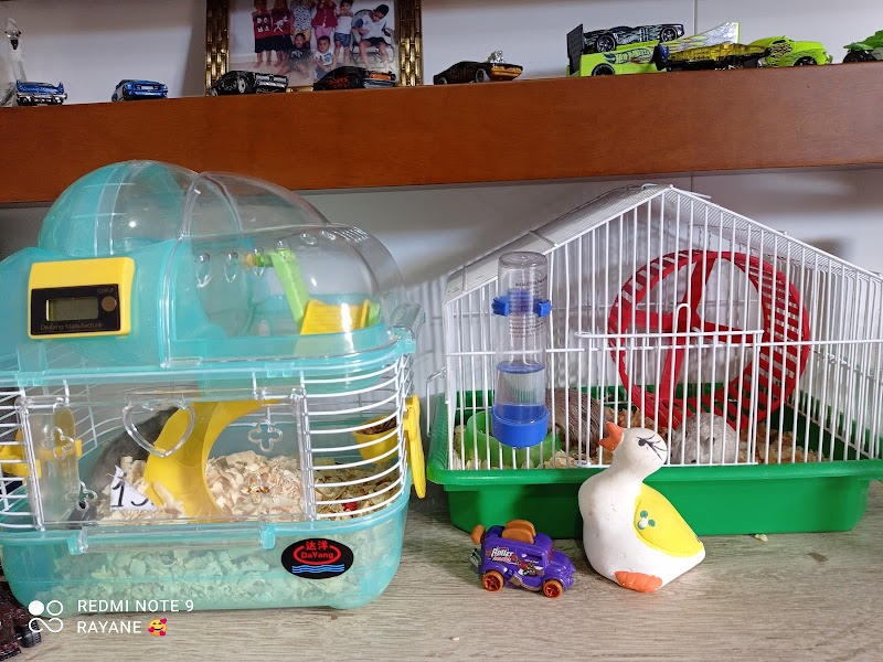 Rações Campo Grande Pet Shop Cariacica - Pet Shop em Campo Grande, Cariacica/ES - Foto 2