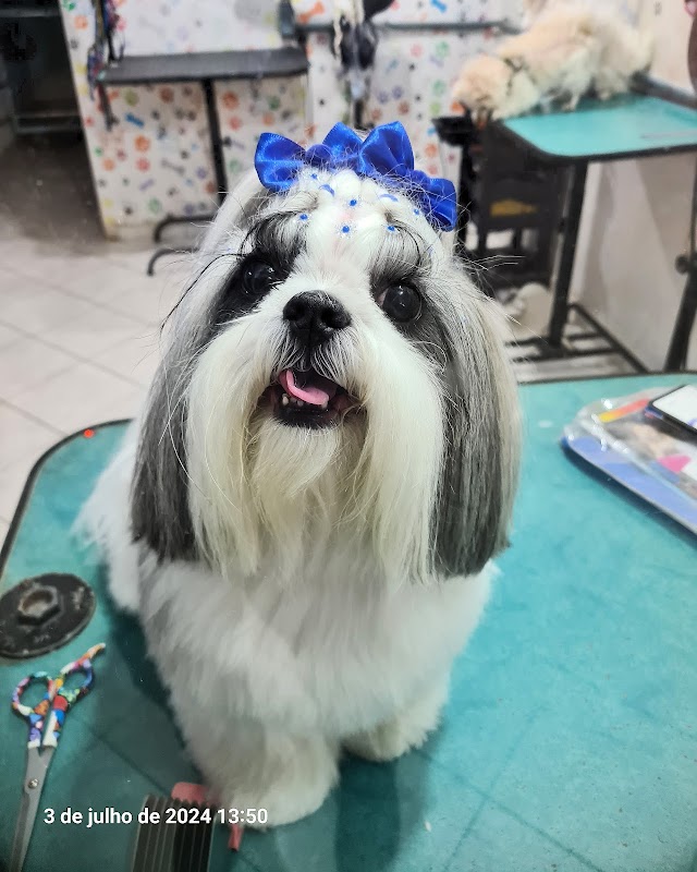 Star Pet Shop - Pet Shop em Campo Grande, Cariacica/ES - Foto 3