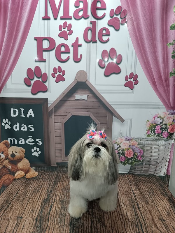 Star Pet Shop - Pet Shop em Campo Grande, Cariacica/ES - Foto 4